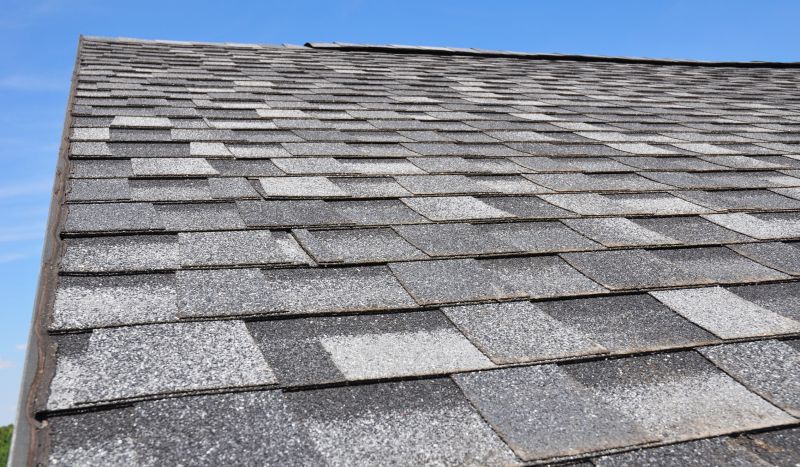 Asphalt Roofing Service in Worcester, MA